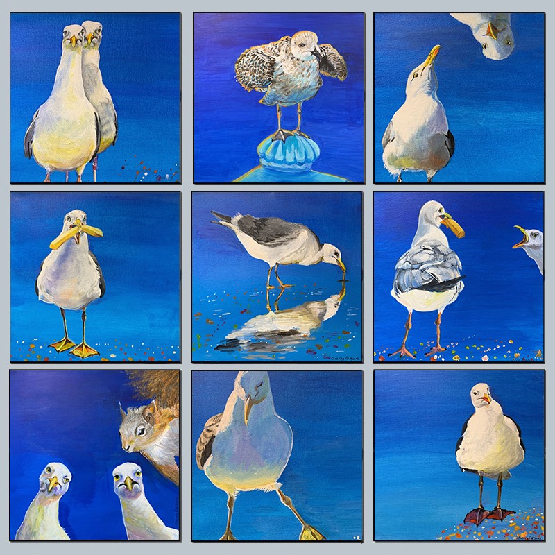 Funny Seagull Coastal Wall Art - Baby Nursery Decor Ideas review and price
